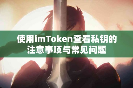 使用imToken查看私钥的注意事项与常见问题