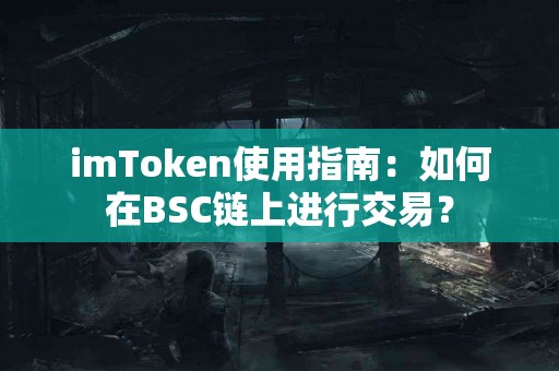 imToken使用指南：如何在BSC链上进行交易？