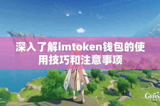 深入了解imtoken钱包的使用技巧和注意事项