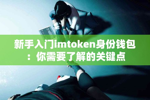 新手入门imtoken身份钱包：你需要了解的关键点