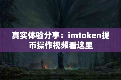 真实体验分享：imtoken提币操作视频看这里