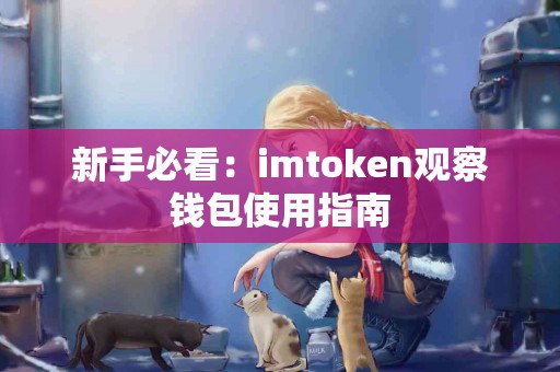 新手必看：imtoken观察钱包使用指南