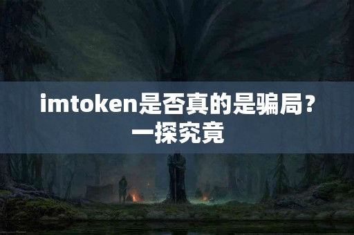 imtoken是否真的是骗局？一探究竟