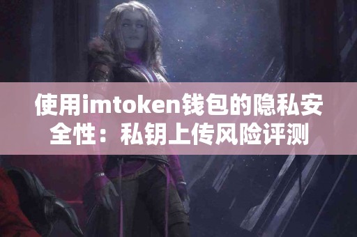 使用imtoken钱包的隐私安全性：私钥上传风险评测