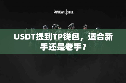 USDT提到TP钱包，适合新手还是老手？