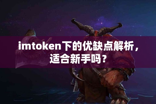 imtoken下的优缺点解析，适合新手吗？