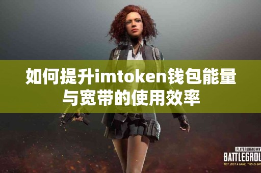 如何提升imtoken钱包能量与宽带的使用效率