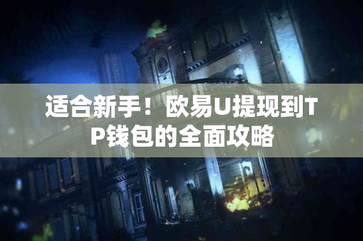 适合新手！欧易U提现到TP钱包的全面攻略
