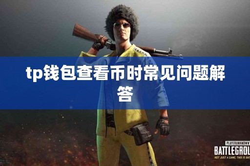tp钱包查看币时常见问题解答