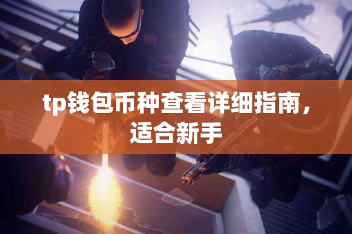 tp钱包币种查看详细指南，适合新手