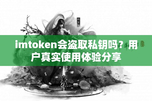imtoken会盗取私钥吗？用户真实使用体验分享