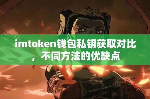 imtoken钱包私钥获取对比，不同方法的优缺点