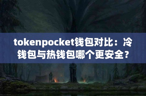 tokenpocket钱包对比：冷钱包与热钱包哪个更安全？