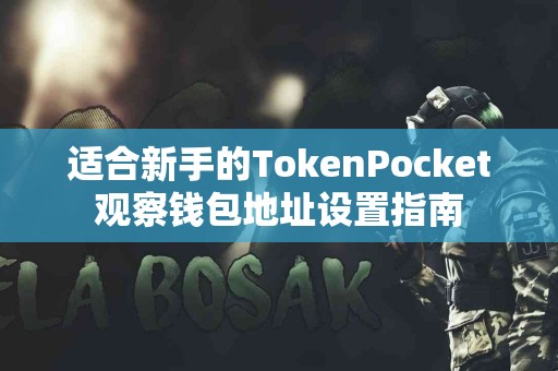 适合新手的TokenPocket观察钱包地址设置指南