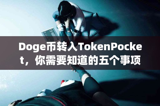 Doge币转入TokenPocket，你需要知道的五个事项