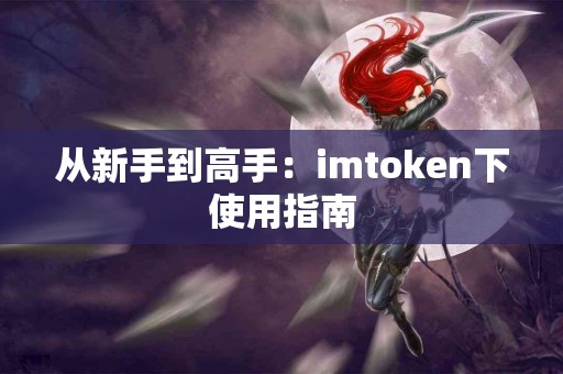 从新手到高手：imtoken下使用指南