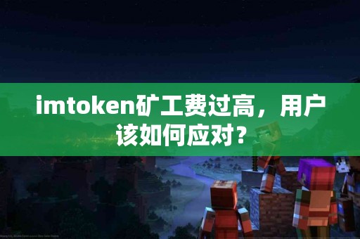 imtoken矿工费过高，用户该如何应对？