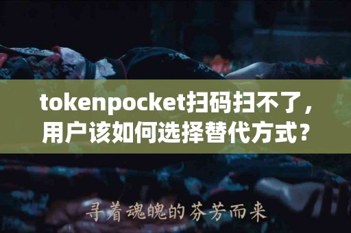 tokenpocket扫码扫不了，用户该如何选择替代方式？