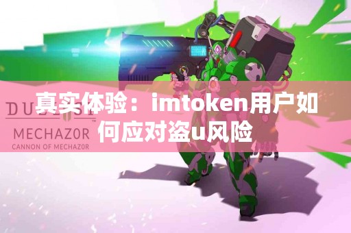 真实体验：imtoken用户如何应对盗u风险