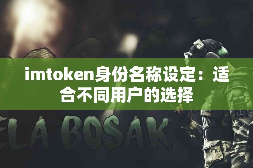 imtoken身份名称设定：适合不同用户的选择