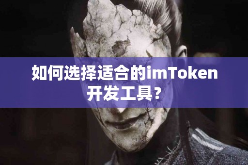 如何选择适合的imToken开发工具？