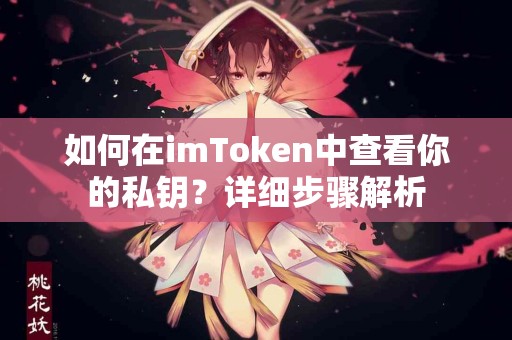 如何在imToken中查看你的私钥？详细步骤解析