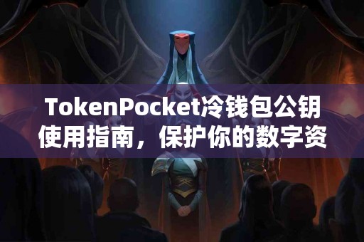 TokenPocket冷钱包公钥使用指南，保护你的数字资产