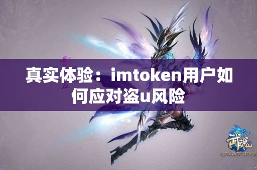真实体验：imtoken用户如何应对盗u风险