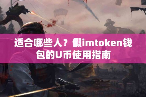 适合哪些人？假imtoken钱包的U币使用指南