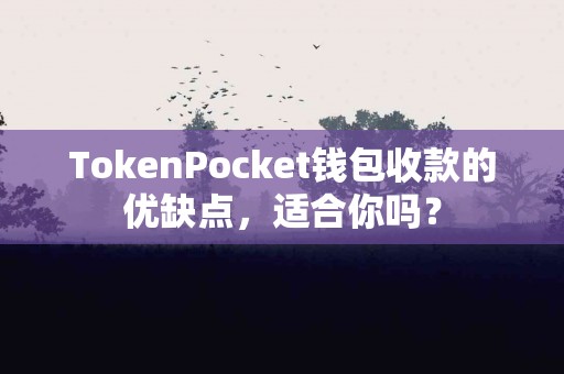 TokenPocket钱包收款的优缺点，适合你吗？
