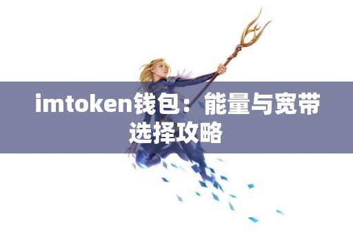 imtoken钱包：能量与宽带选择攻略
