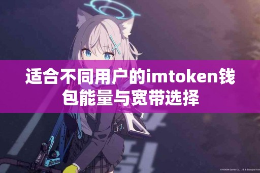 适合不同用户的imtoken钱包能量与宽带选择