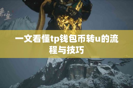 一文看懂tp钱包币转u的流程与技巧