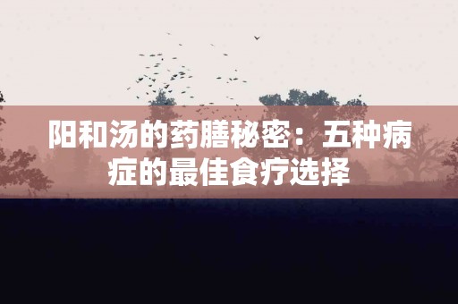 阳和汤的药膳秘密：五种病症的最佳食疗选择