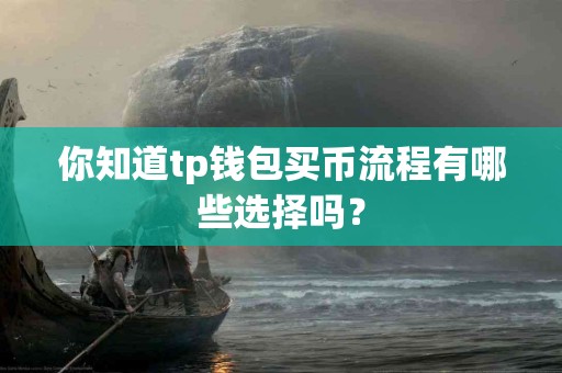你知道tp钱包买币流程有哪些选择吗？