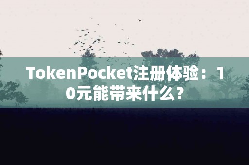 TokenPocket注册体验：10元能带来什么？