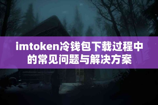 imtoken冷钱包下载过程中的常见问题与解决方案