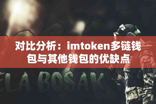 对比分析：imtoken多链钱包与其他钱包的优缺点