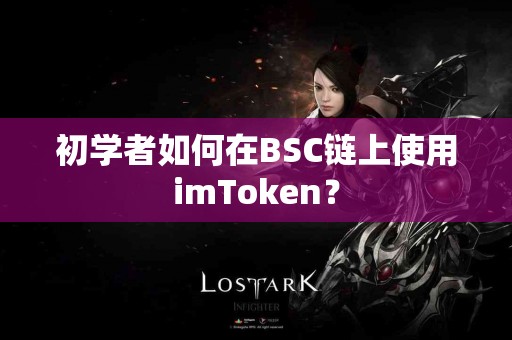 初学者如何在BSC链上使用imToken？