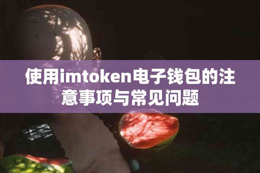 使用imtoken电子钱包的注意事项与常见问题