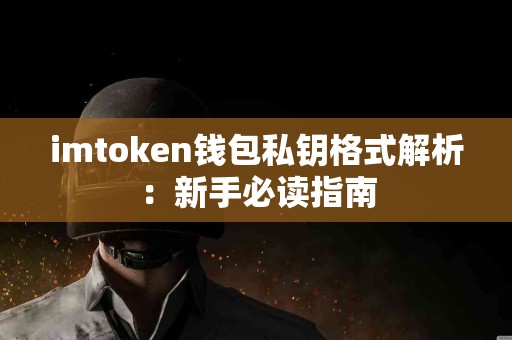 imtoken钱包私钥格式解析：新手必读指南