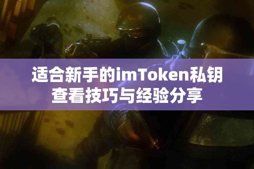 适合新手的imToken私钥查看技巧与经验分享