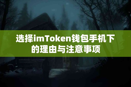 选择imToken钱包手机下的理由与注意事项