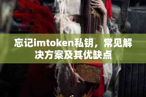 忘记imtoken私钥，常见解决方案及其优缺点
