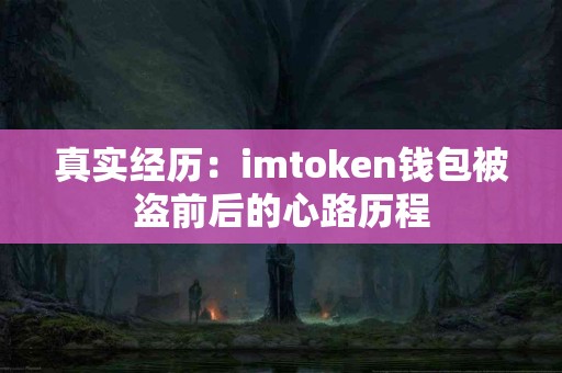 真实经历：imtoken钱包被盗前后的心路历程