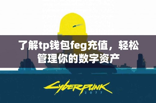 了解tp钱包feg充值，轻松管理你的数字资产