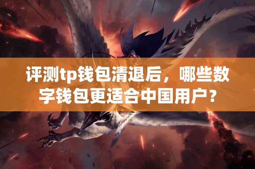 评测tp钱包清退后，哪些数字钱包更适合中国用户？