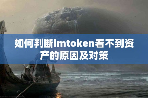 如何判断imtoken看不到资产的原因及对策