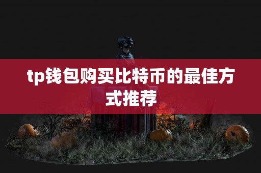 tp钱包购买比特币的最佳方式推荐