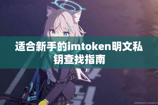 适合新手的imtoken明文私钥查找指南